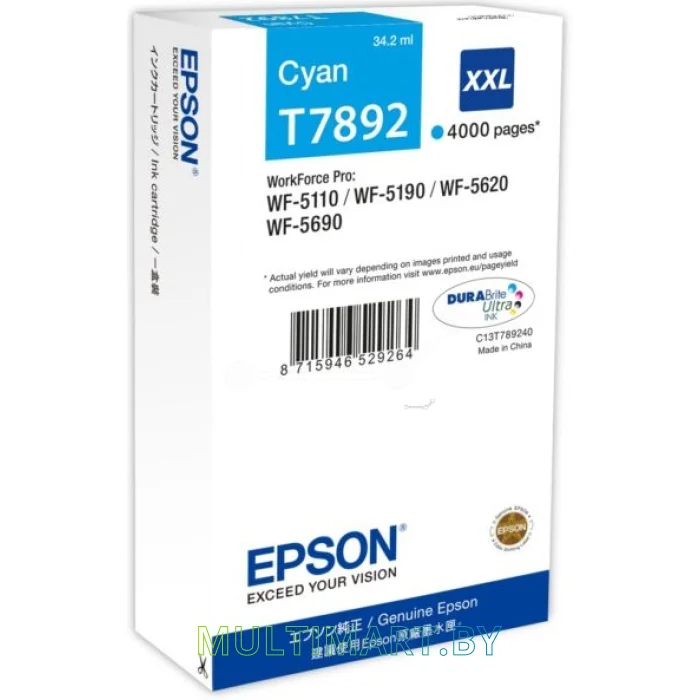 Картридж Epson C13T789240